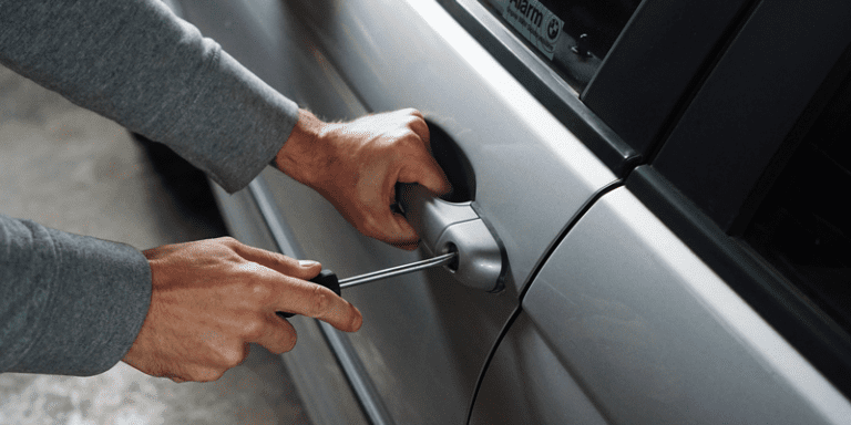 Car Thief